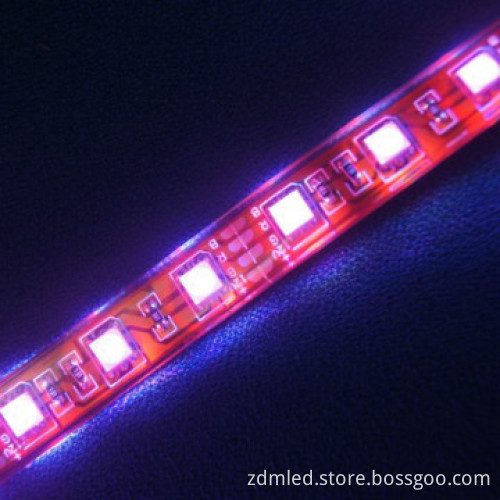 led strips lights